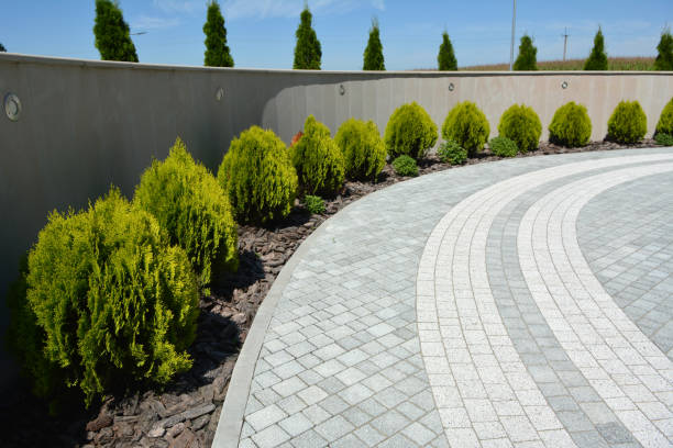Best Driveway Pavers Near Me  in Little Cypress, TX
